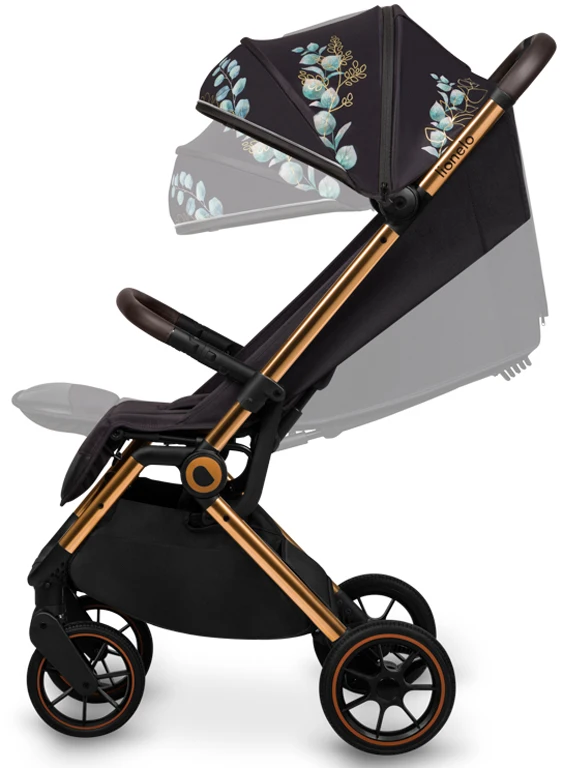 Коляска прогулянкова Lionelo Cloe GOLDEN MOMENTS